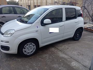 Fiat PANDA VAN N1 1.3 MJT 75CV Euro 5B - 2posti