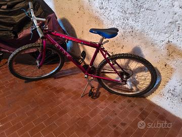 Mountain bike