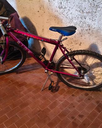 Mountain bike