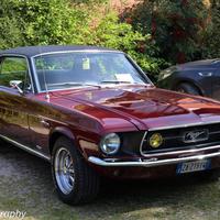 Ford Mustang GTA V8 1967
