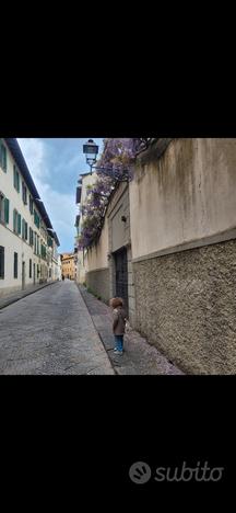 Proprietà uso ufficio con giardino posti auto