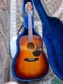 Chitarra acustica squirrel