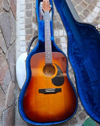 Chitarra acustica squirrel