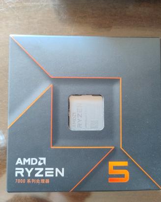 processore AMD Ryzen 5