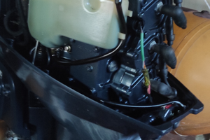 Gommone motore catrello