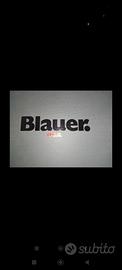 Blauer Usa