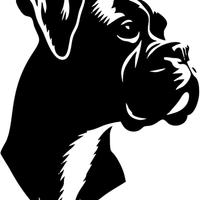 Boxer