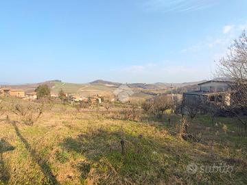 TER. RESIDENZIALE A BERZANO DI TORTONA
