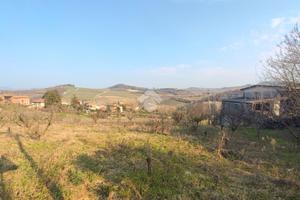 TER. RESIDENZIALE A BERZANO DI TORTONA