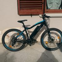 e bike NCM Moscow  48w