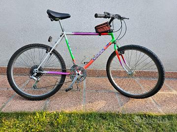biciclette MTB per tutta la famiglia 