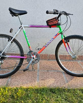 biciclette MTB per tutta la famiglia 