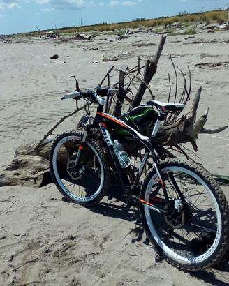 MTB Bottecchia