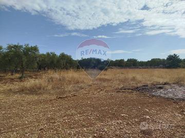 Terreno - Cassano delle Murge