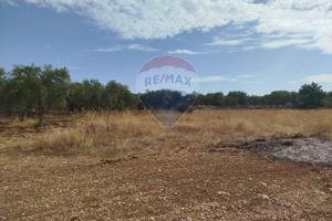 Terreno - Cassano delle Murge