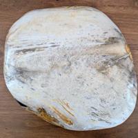 Vassoio - Piatto SOHO Balfern Bianco Legno Fossile