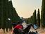 Immagine 1