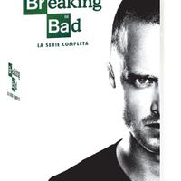 Breaking Bad Collection 1-6. Serie TV ita (21 DVD)