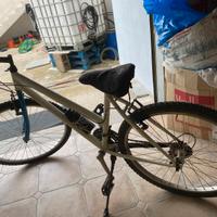 Bicicletta Mountain Bike