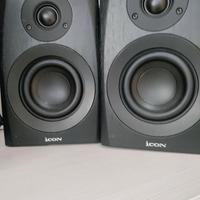 2 monitor da studio Icon SX4A