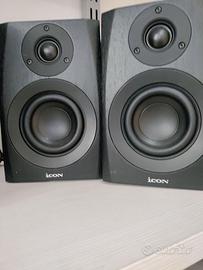 2 monitor da studio Icon SX4A