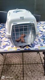 trasportino per cani o gatti 