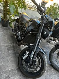 Benelli Leoncino 500 - 2018