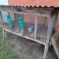 gabie per animaletti 