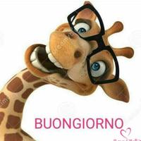 Commessa . collaboratrice domestica