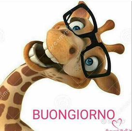 Commessa . collaboratrice domestica