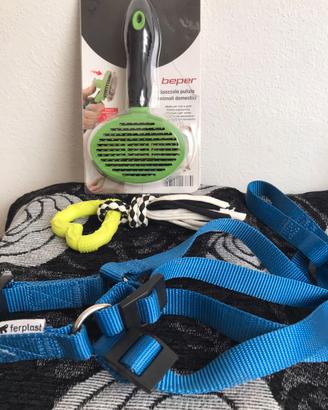 Set accessori cane: pettorina, spazzola, gioco