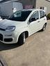 fiat-panda-1-0-gse-s-s-hybrid-pop-van-2-posti-perf