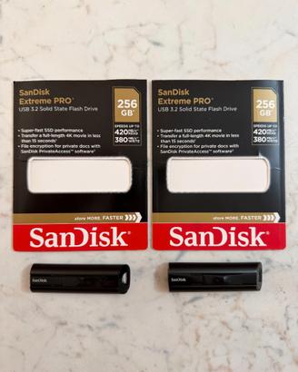 2x SanDisk 256GB Extreme PRO USB 3.2 (420 MB/s)