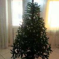 Albero di Natale 