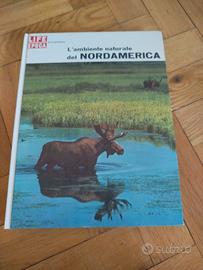 Life Epoca - L'ambiente naturale del Nord America 