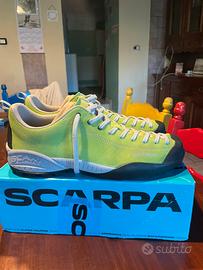 Scarpa