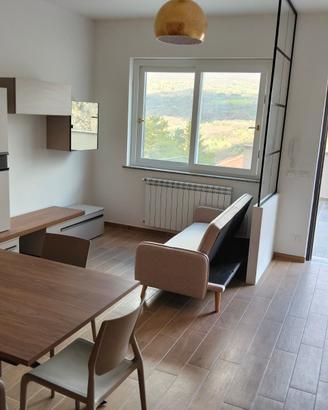 Villetta a schiera bifamiliare