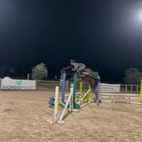 Splendido pony 4 anni