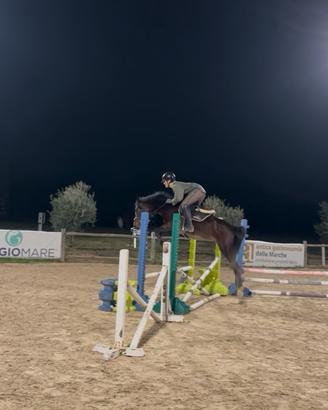Splendido pony 4 anni