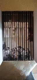 dvd The walking dead
