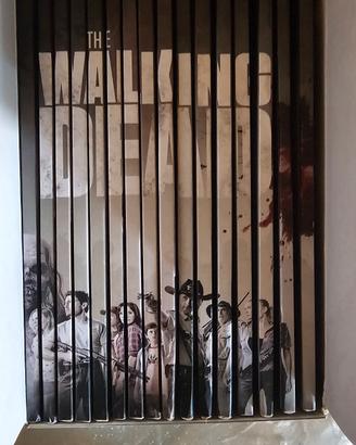 dvd The walking dead