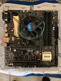 Bundle Asus h170m plus + i5 6500 + dissipatore
