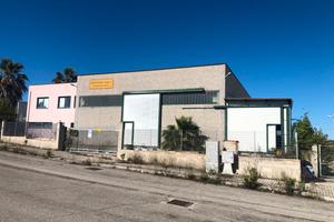 Capannone artigianale