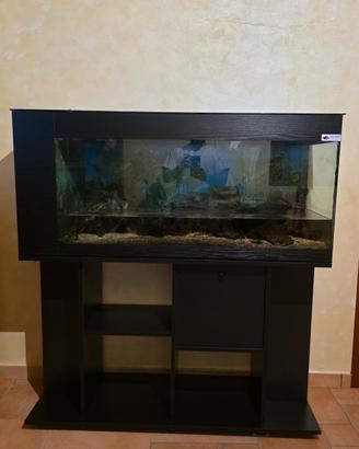 acquario 300 litri