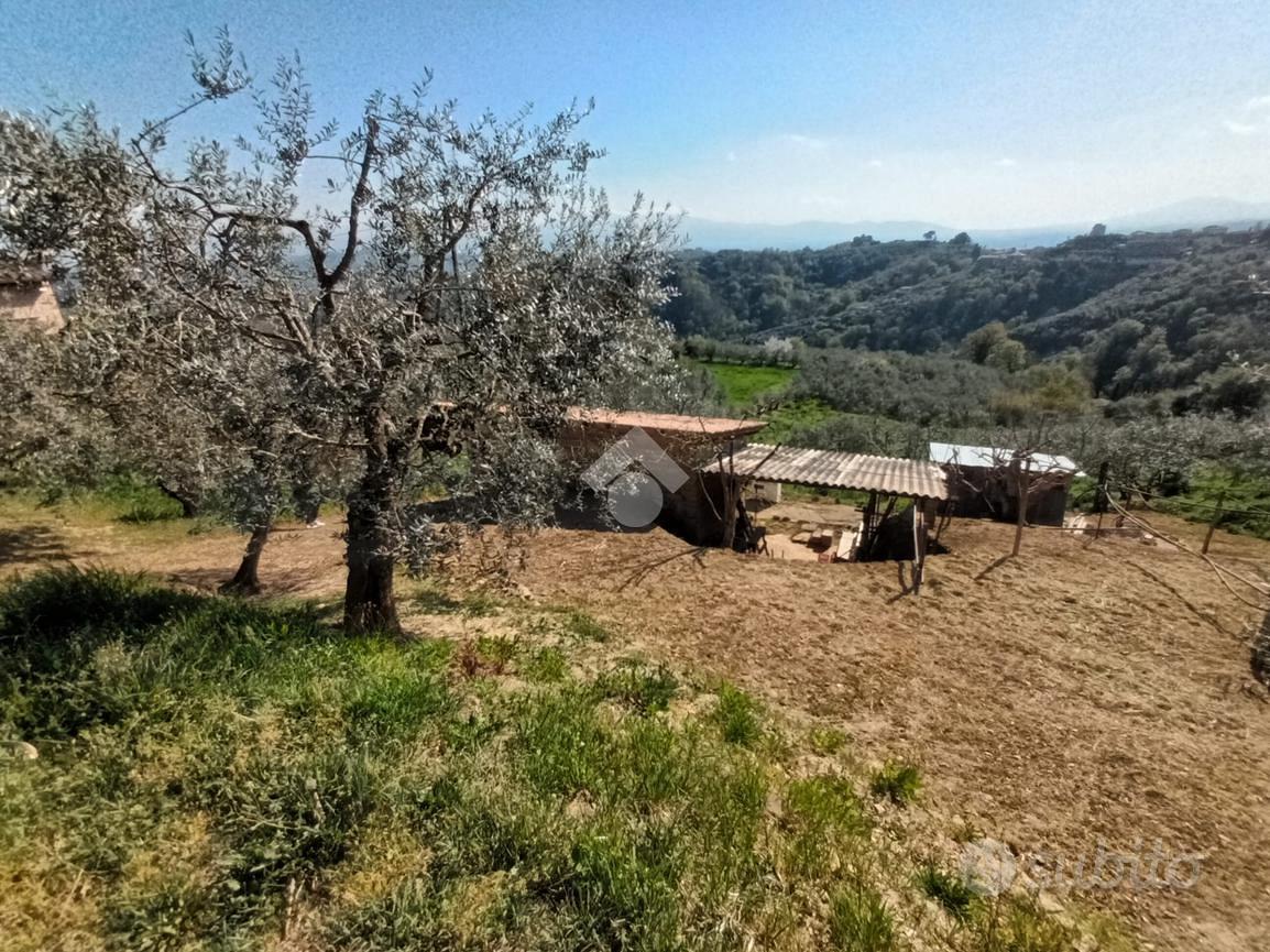 RUSTICO A OLEVANO ROMANO - Altro