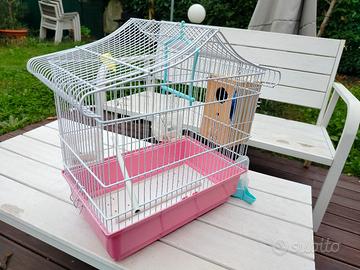 gabbietta per uccelli con accessori