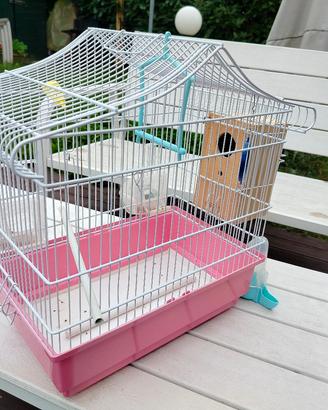 gabbietta per uccelli con accessori