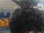 Immagine 4