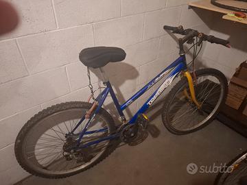 Bicicletta da bambino