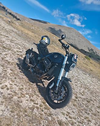 Benelli leoncino 500